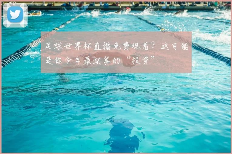 足球世界杯直播免费观看？这可能是你今年最划算的“投资”